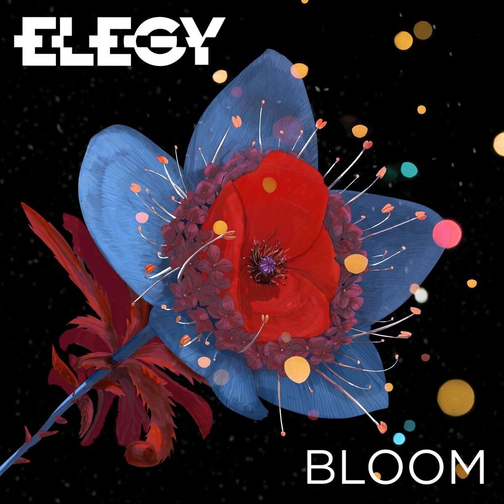 Picture of Bloom