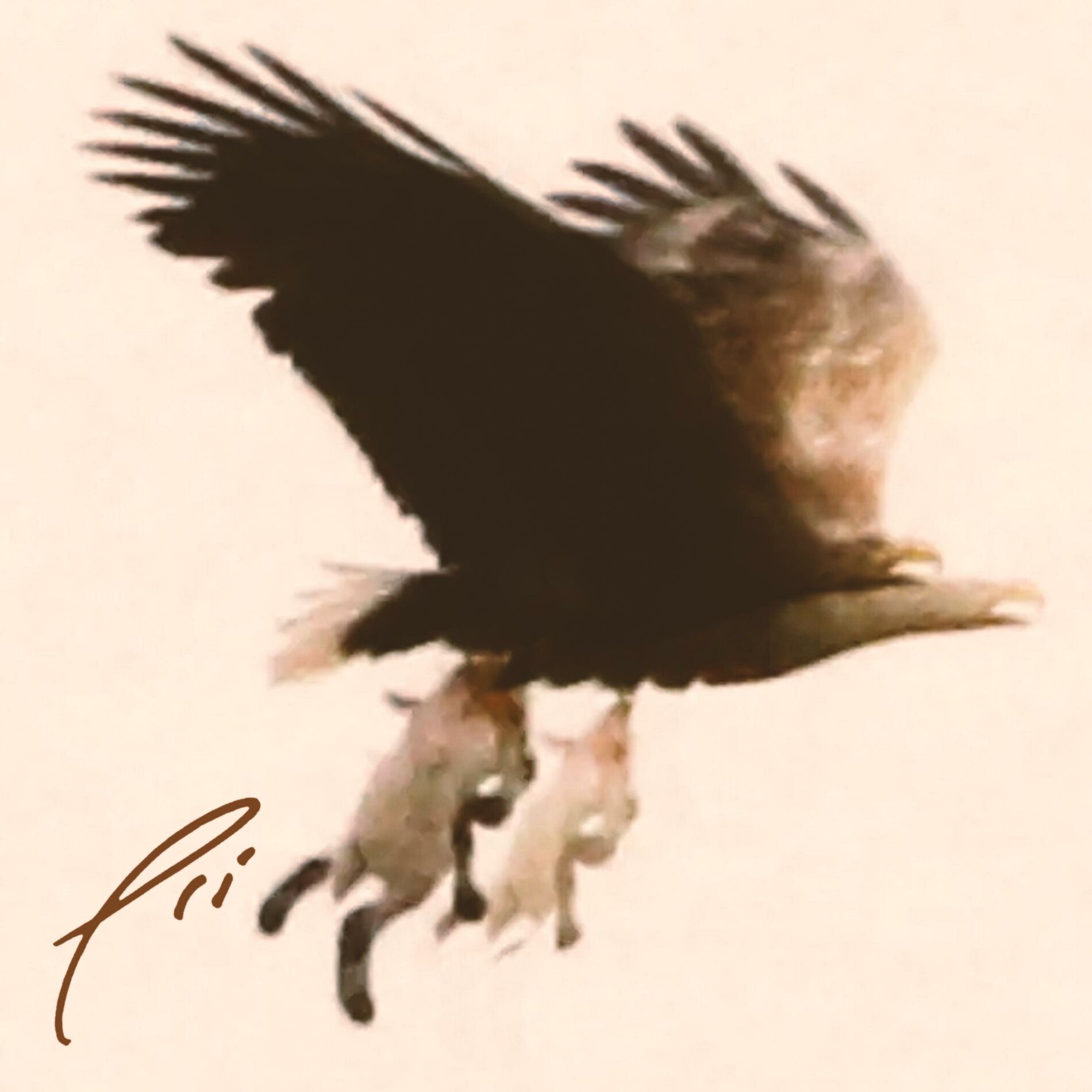 Album cover of Creature Of Habit