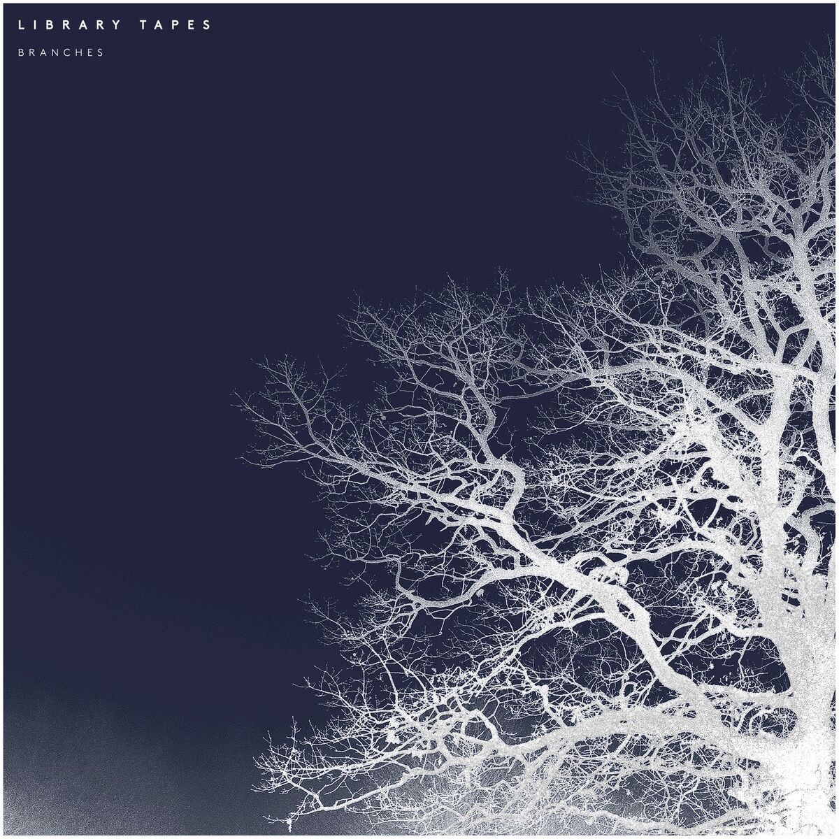 Album cover of Branches