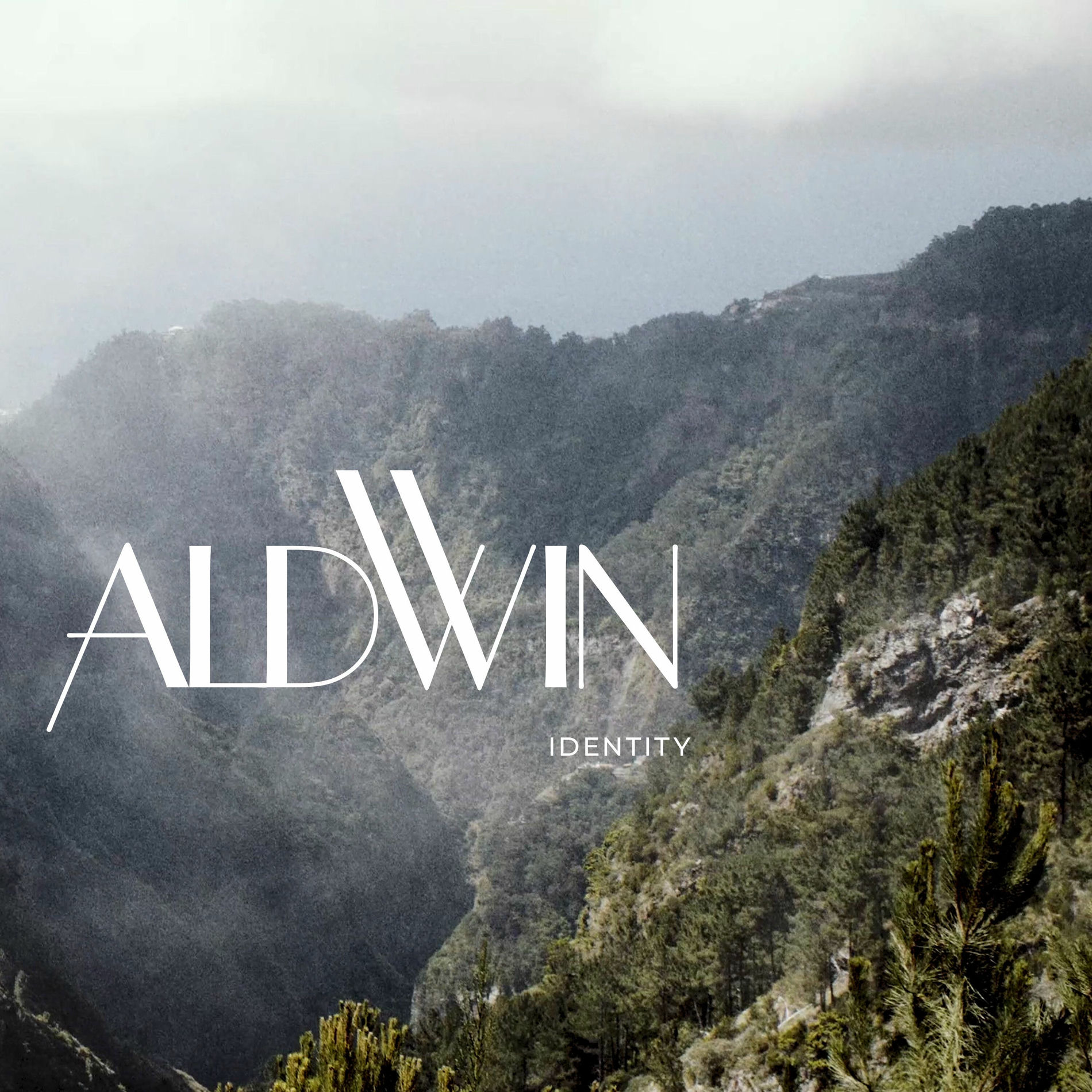 Album cover of Identity