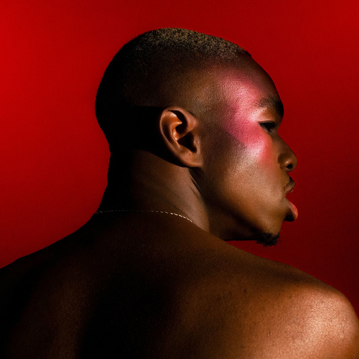 Album cover of Matador