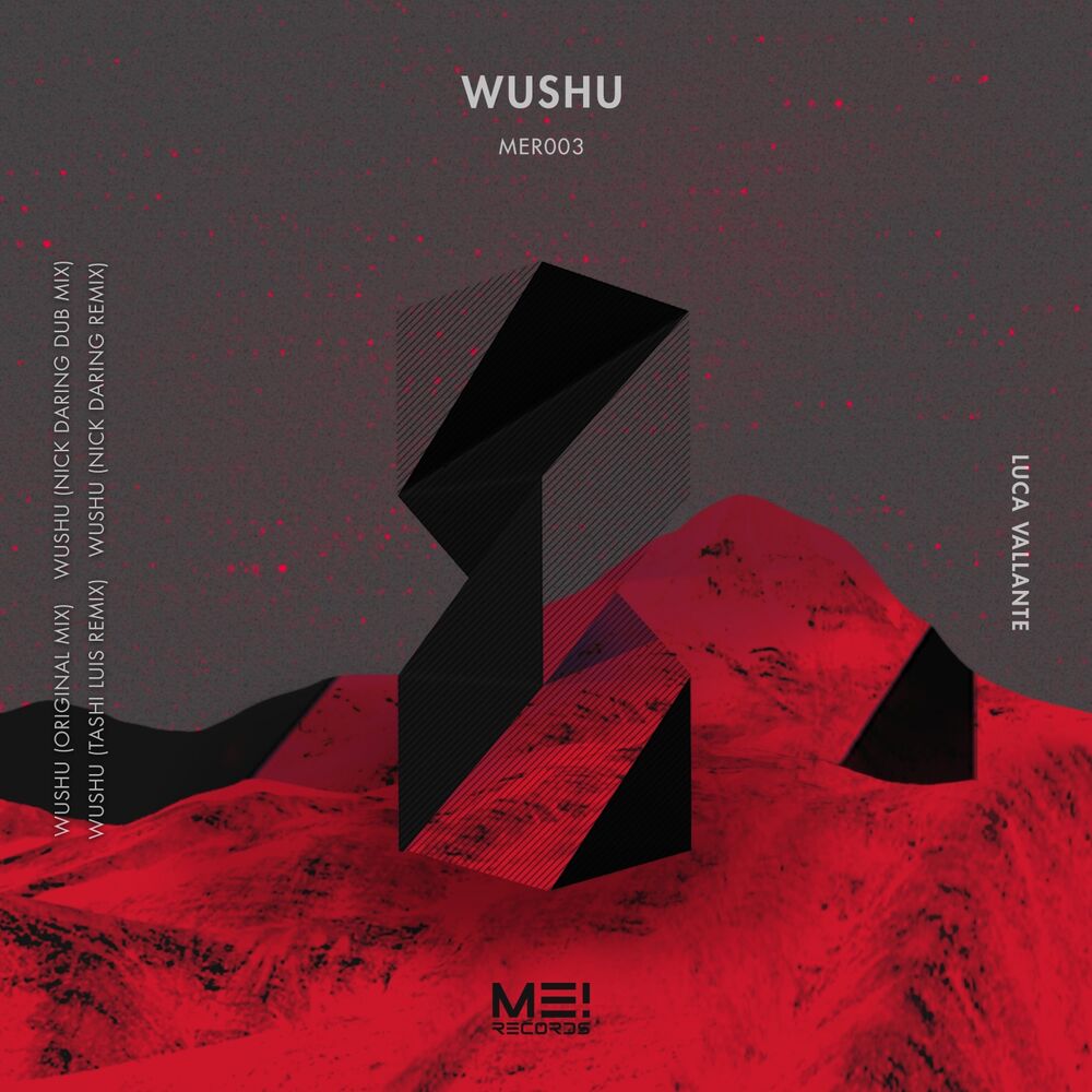 Picture of Wushu EP