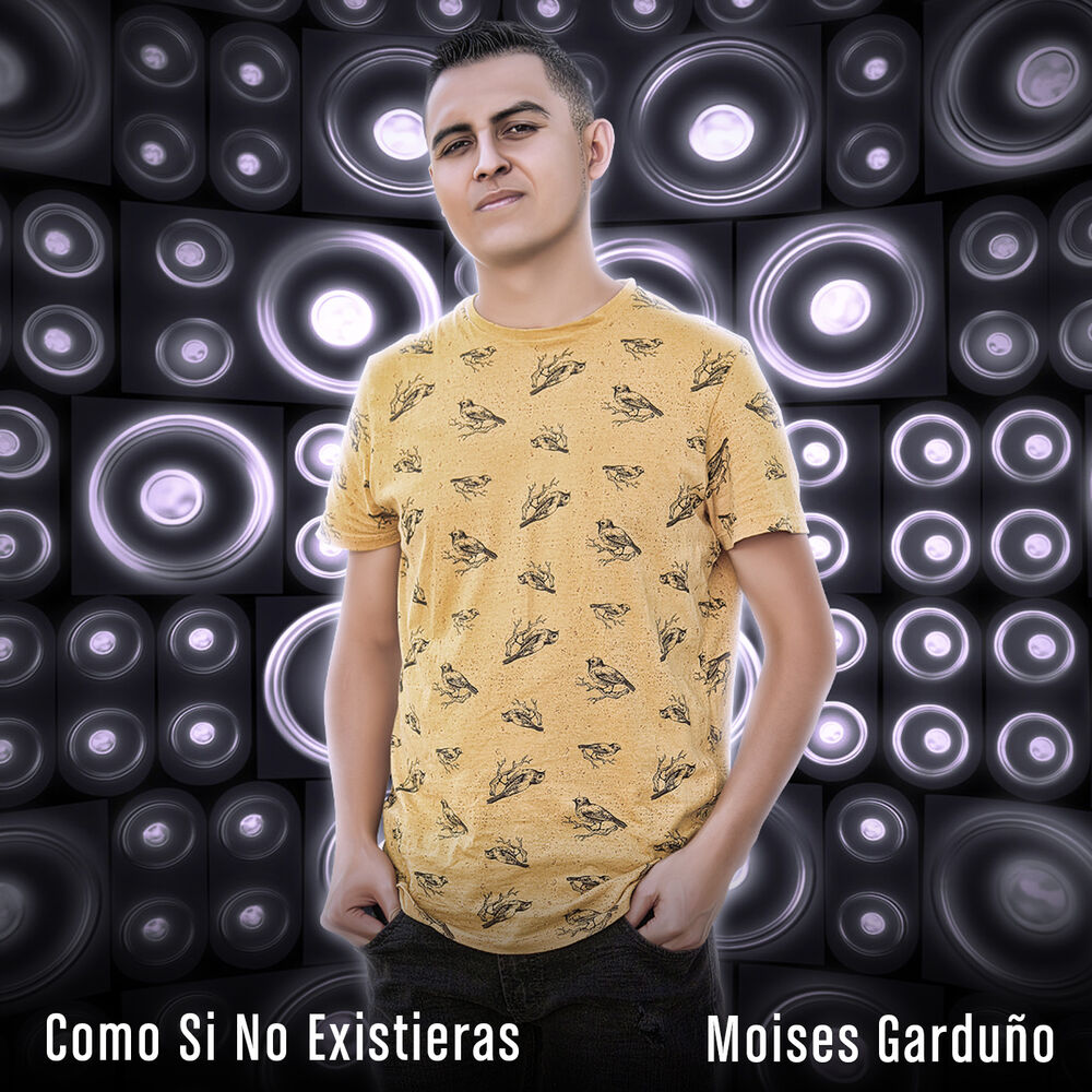 Picture of Como Si No Existieras