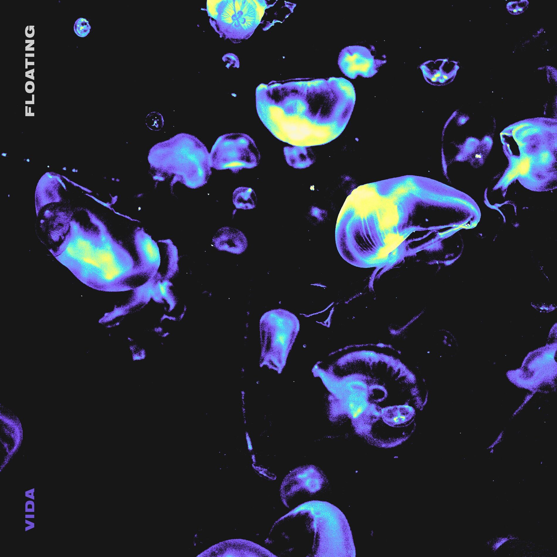 Album cover of Floating