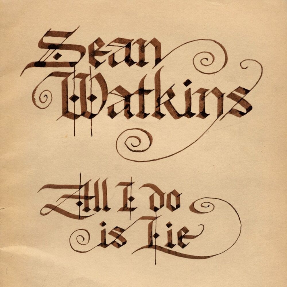 Picture of All I Do is Lie