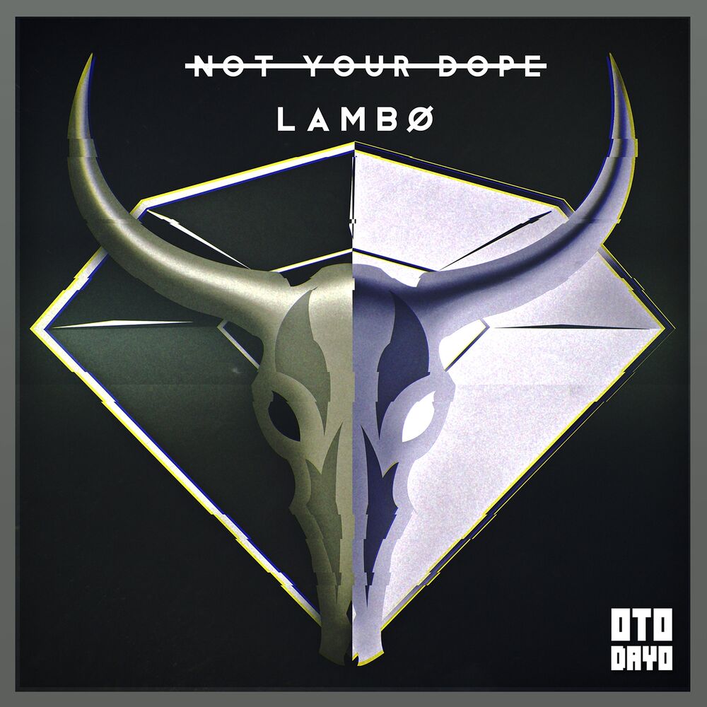 Picture of Lambo
