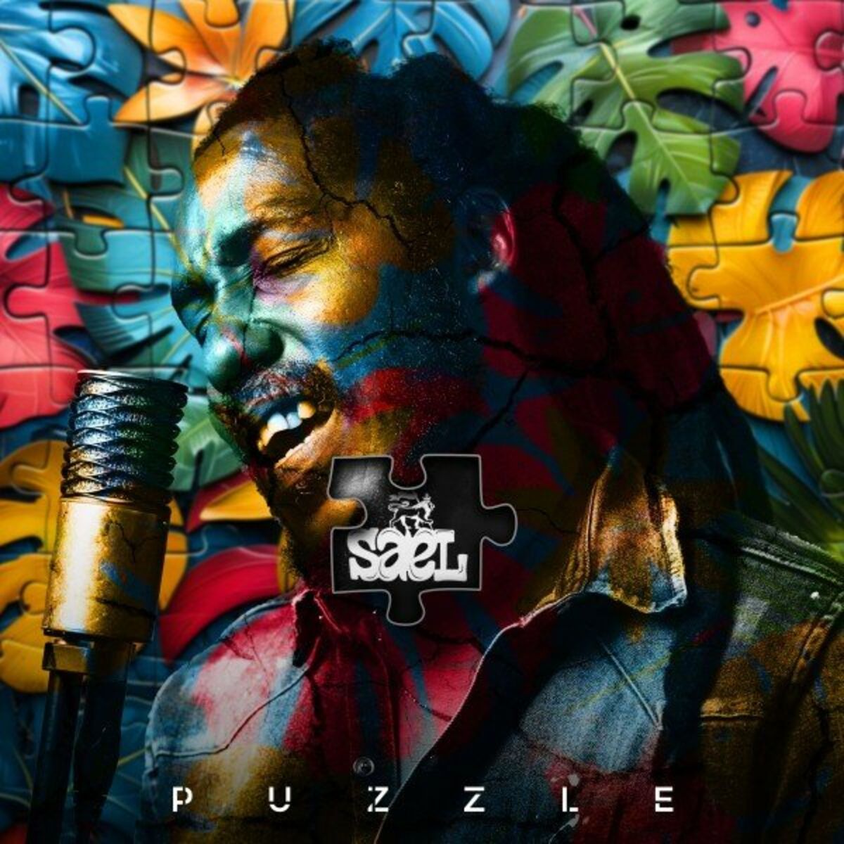 Album cover of Puzzle