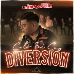 Cover of Solo Fui Su Diversión