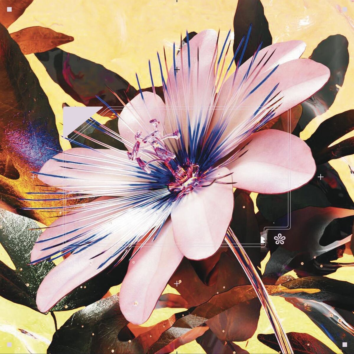 Album cover of Passionfruit (Drake Cover)