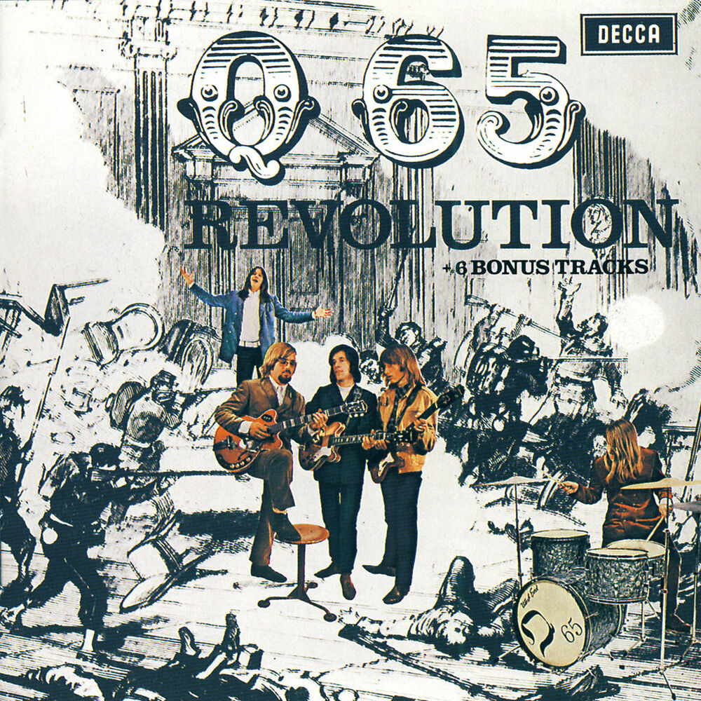 Picture of Revolution