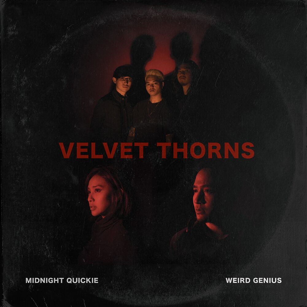 Picture of Velvet Thorns