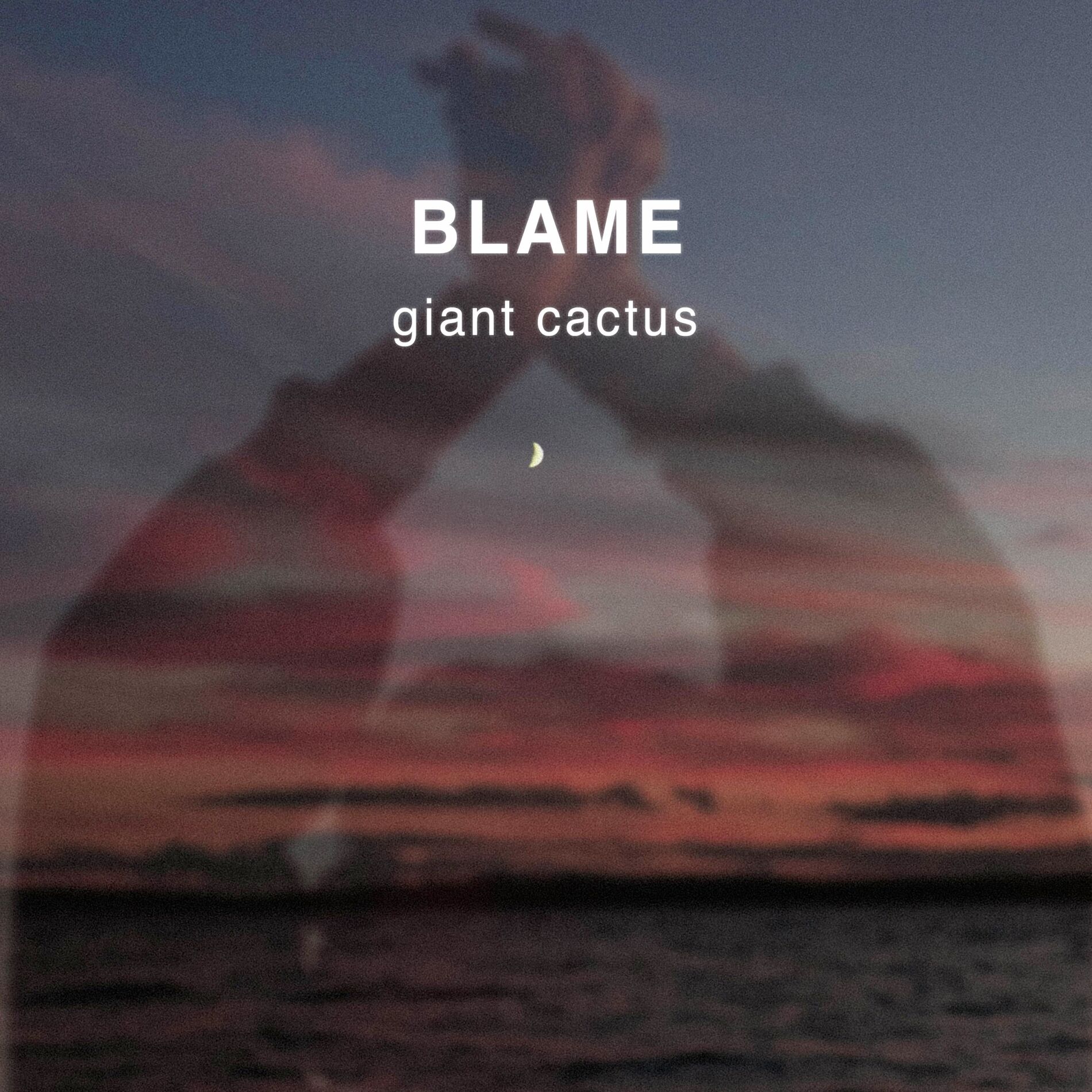 Album cover of blame