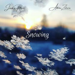 Cover of Snowing