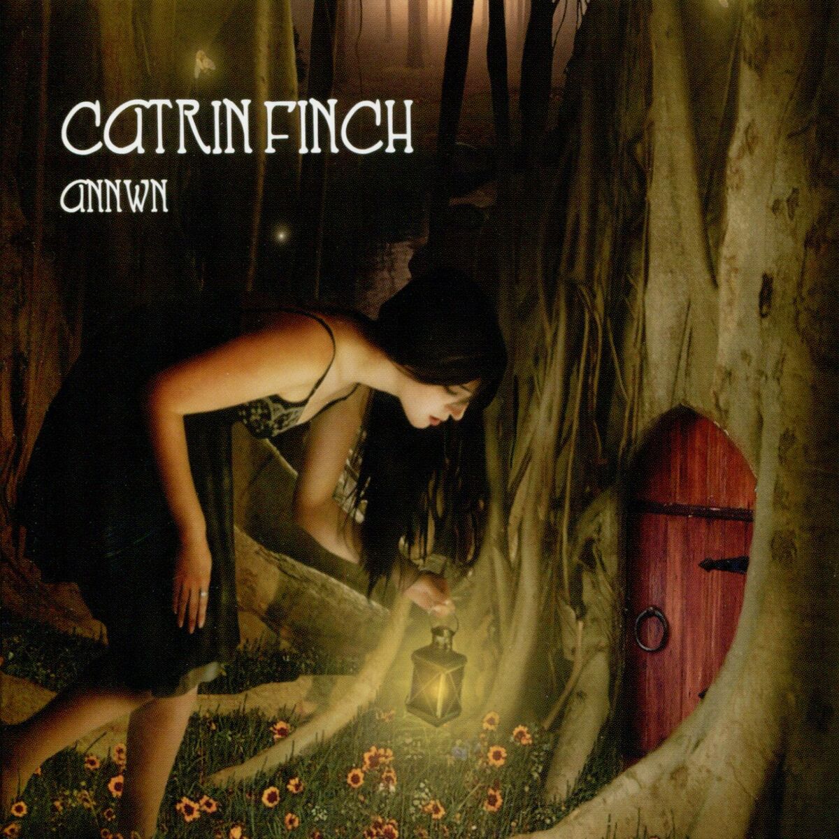 Album cover of Annwn