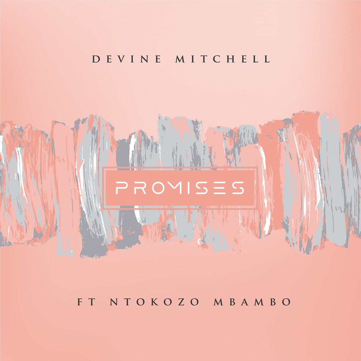 Album cover of Promises