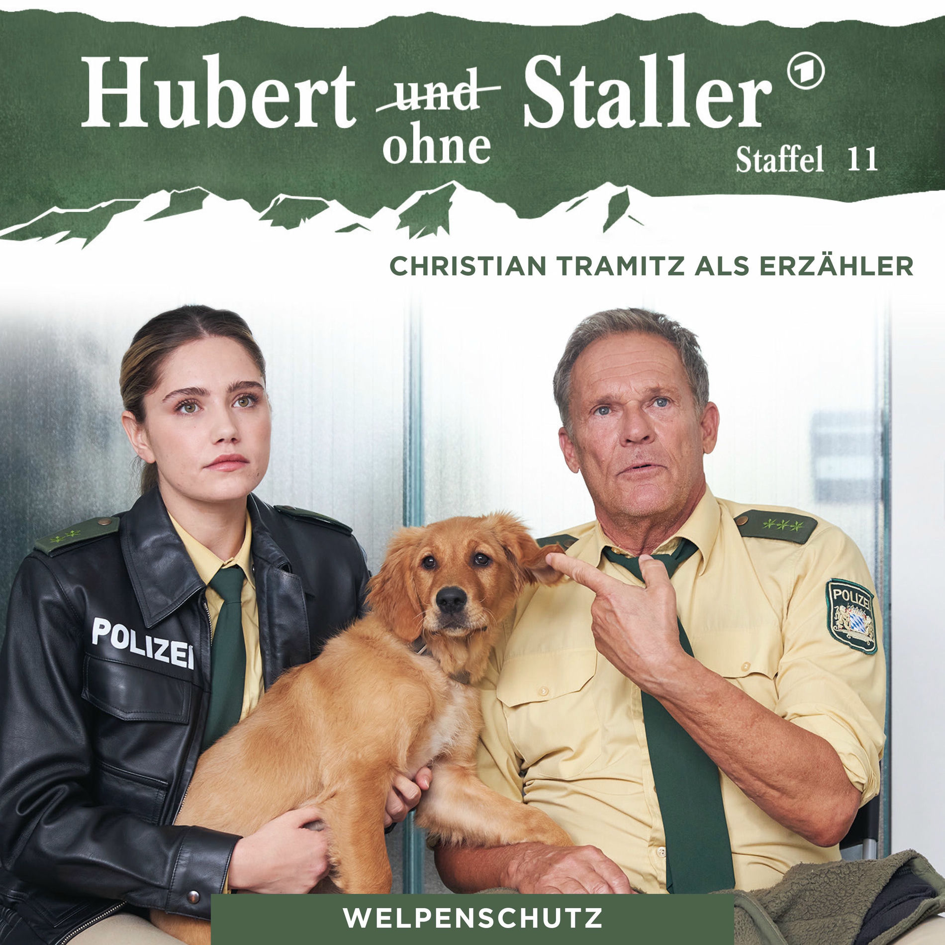 Album cover of Folge 39: Welpenschutz