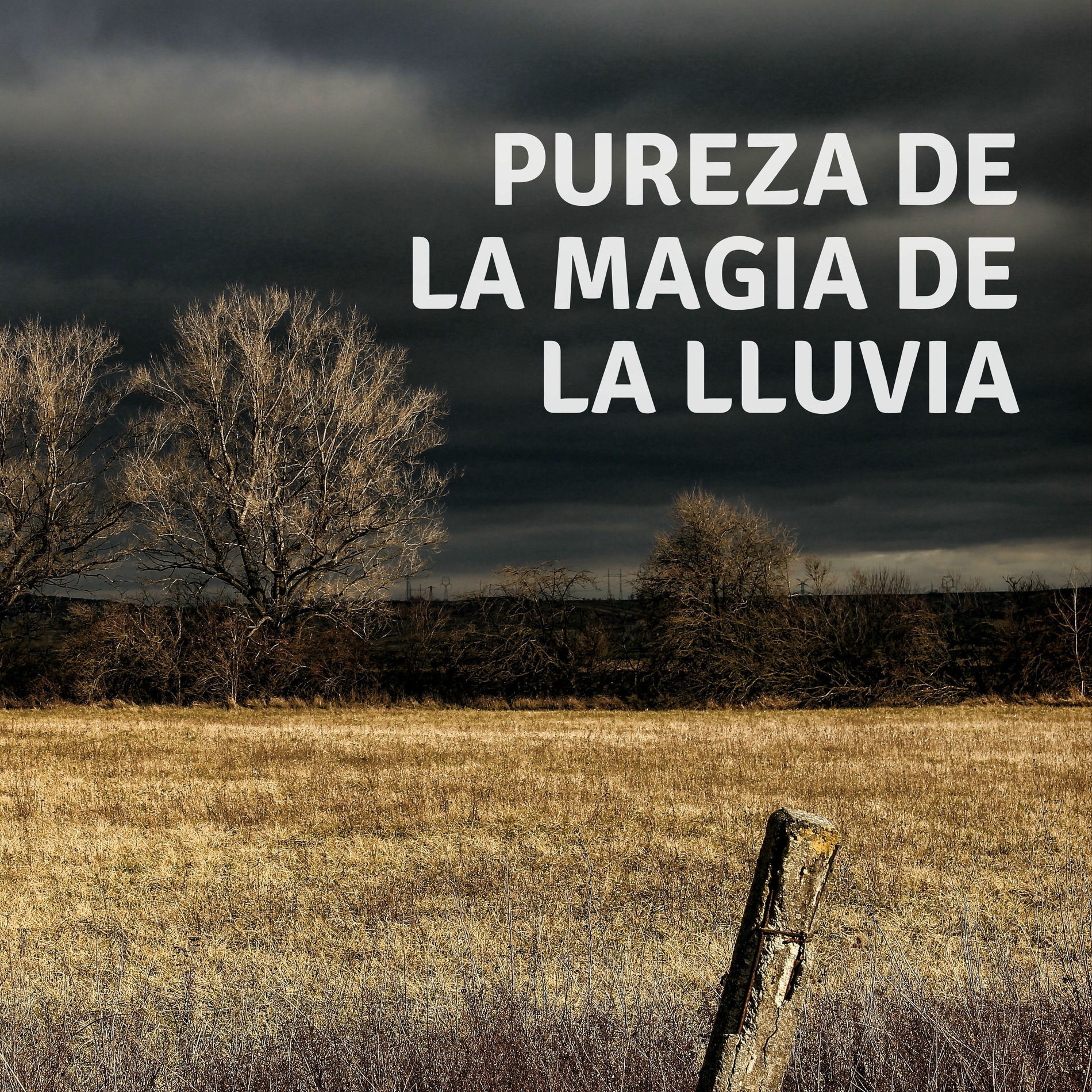 Album cover of Pureza De La Magia De La Lluvia