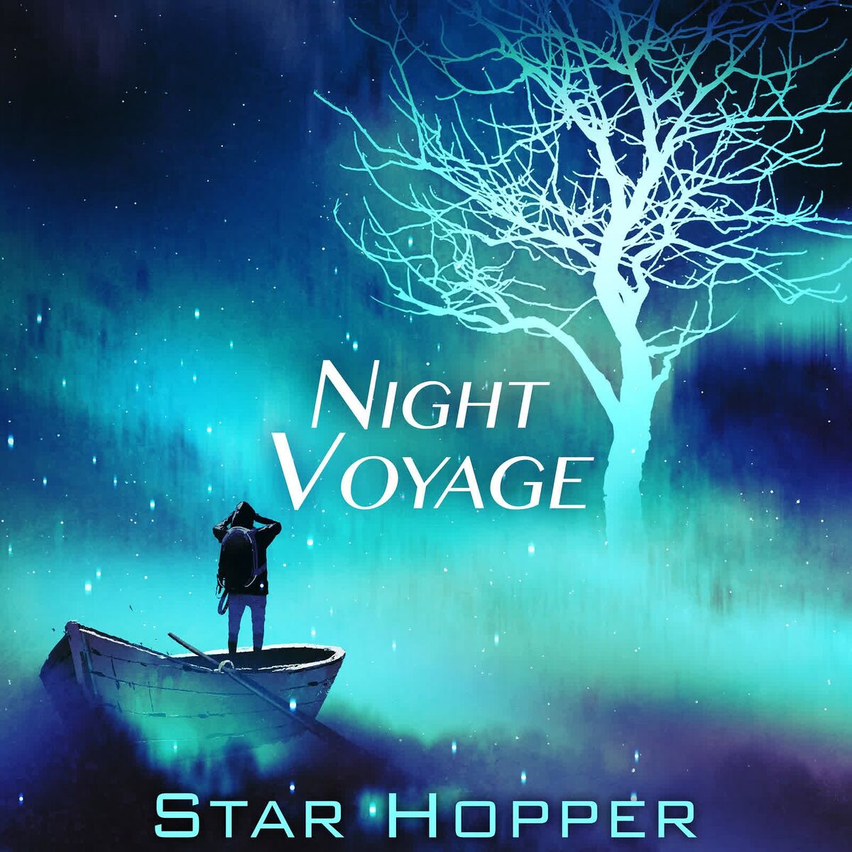 Album cover of The Traveler