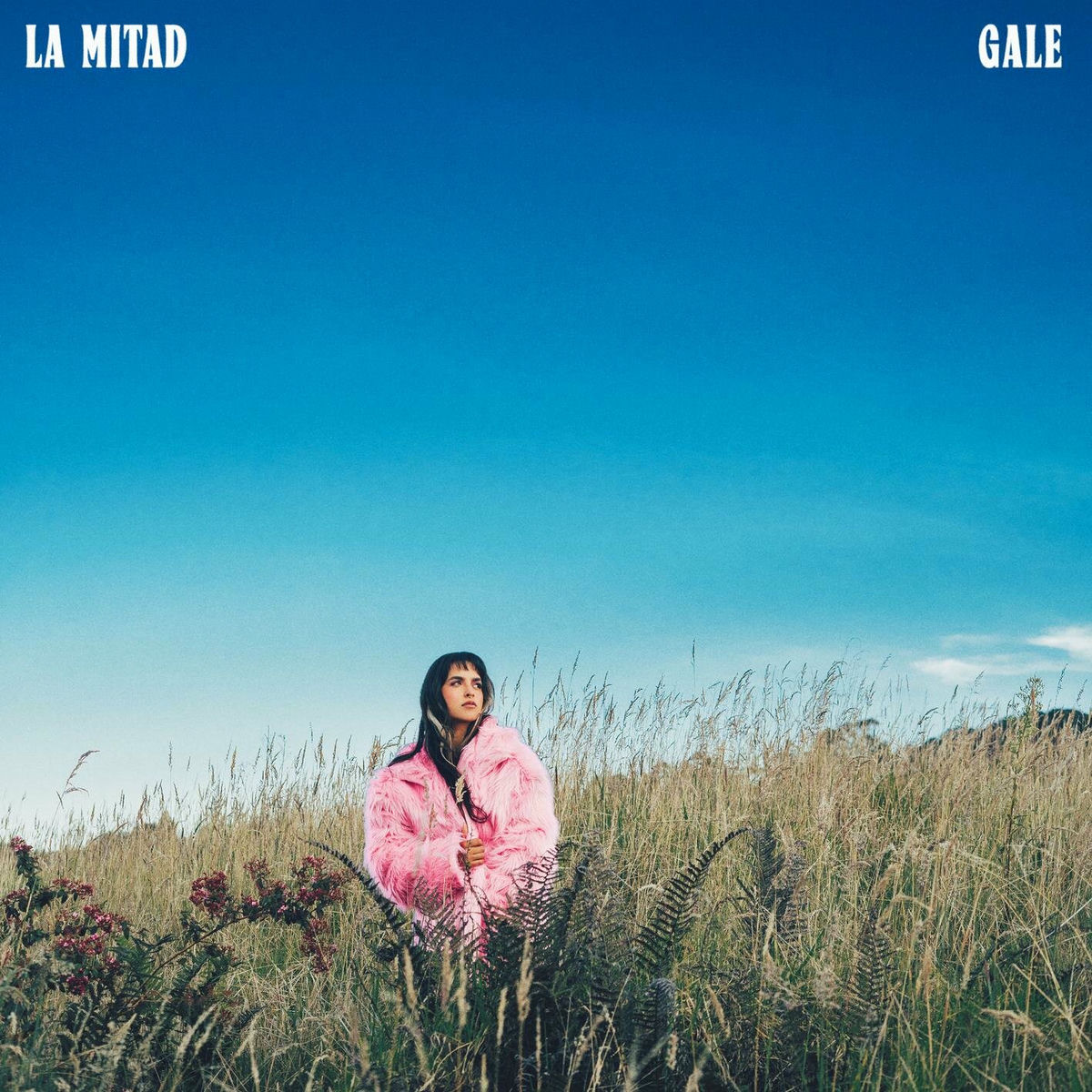 Album cover of La Mitad