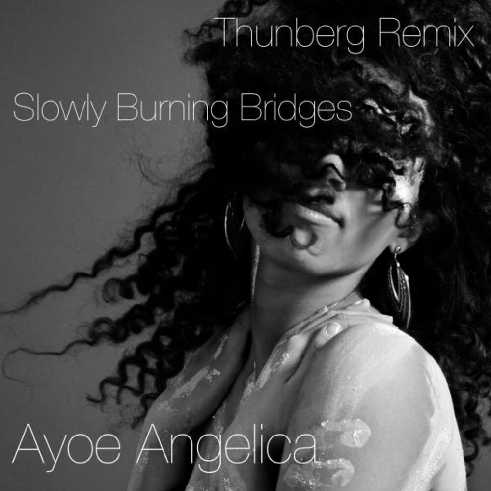 Picture of Slowly Burning Bridges (Thunberg Remix)