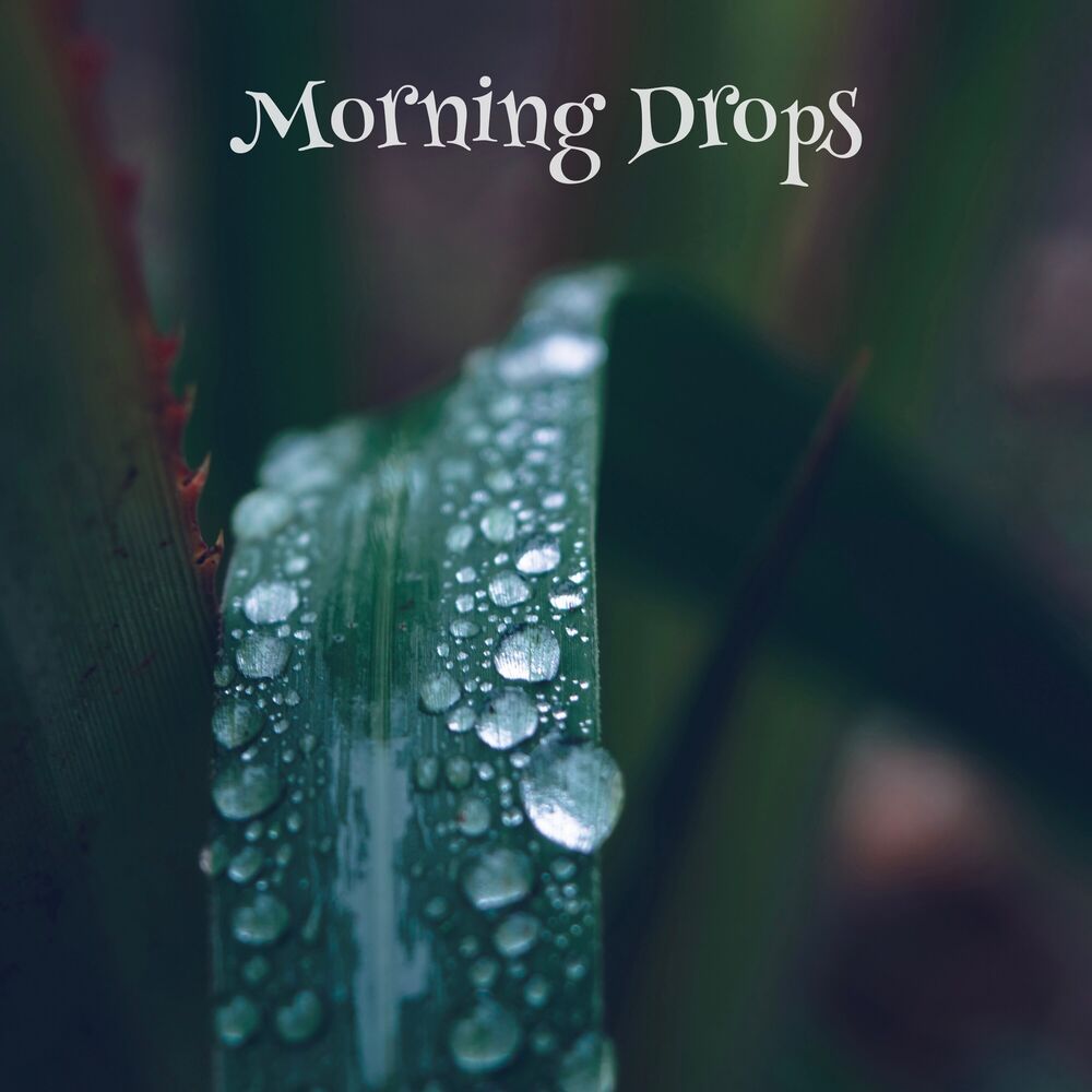 Picture of Morning Drops