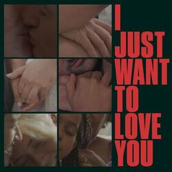 Cover of I Just Want To Love You