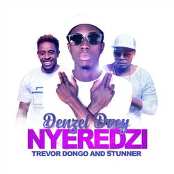 Cover of Nyeredzi