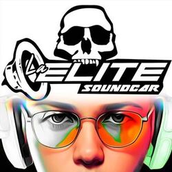 STMPD Car Audio