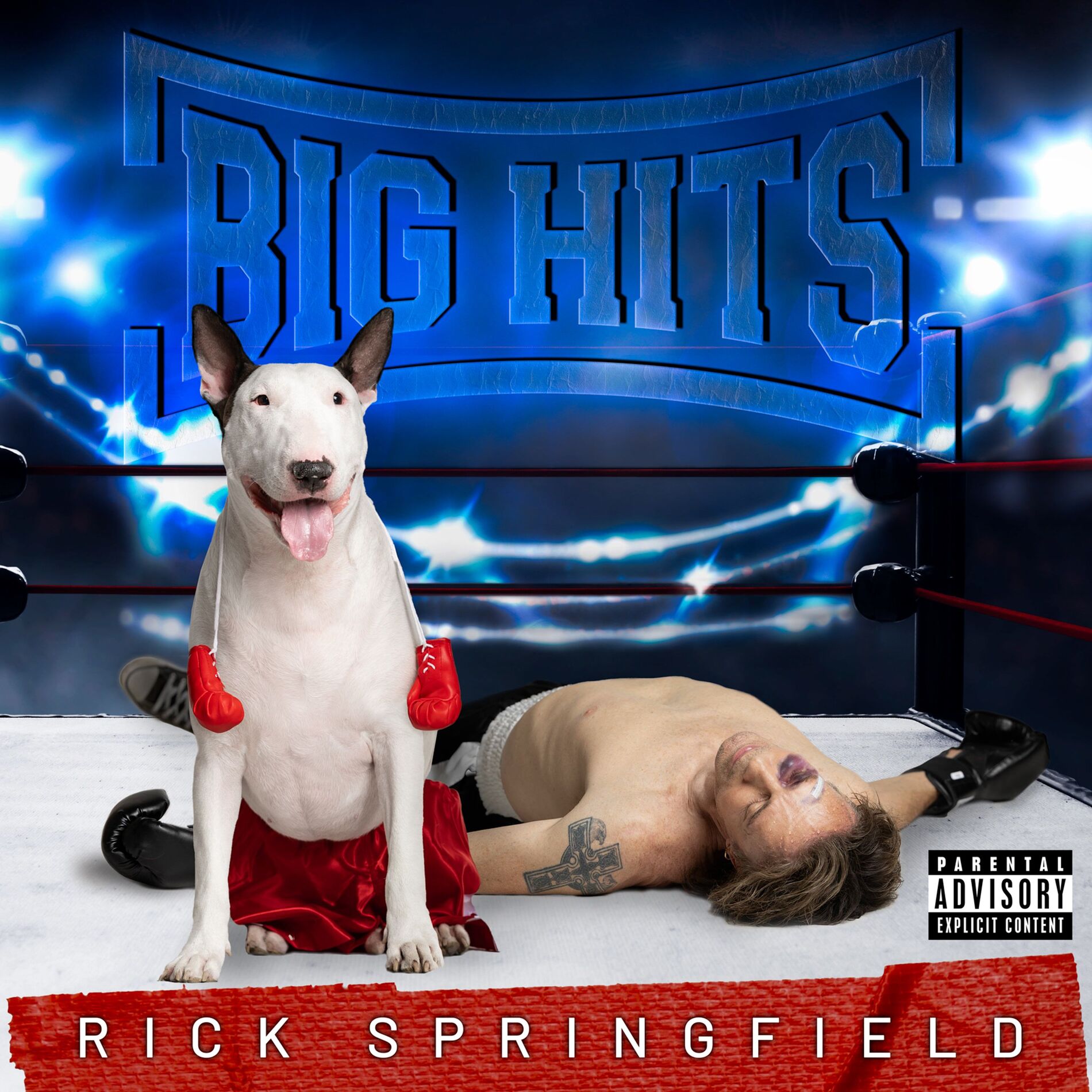 Album cover of Big Hits: Rick Springfield's Greatest Hits, Vol. 2
