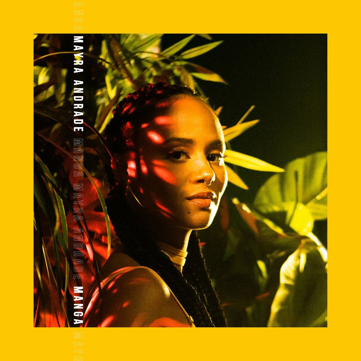 Album cover of Afeto
