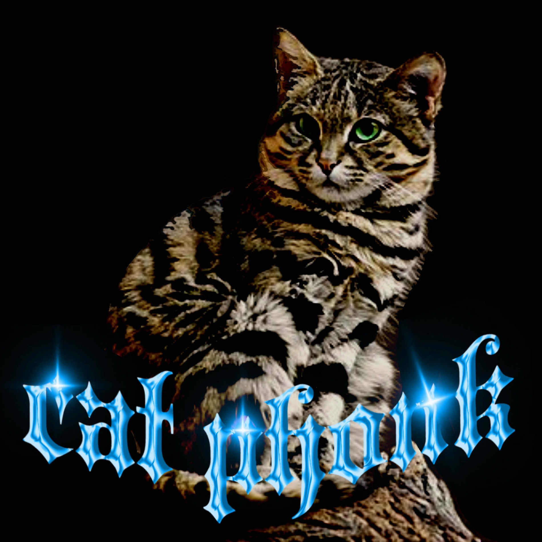 Album cover of CAT PHONK