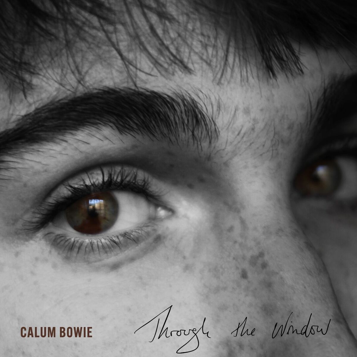 Album cover of Through The Window