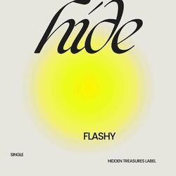 Cover of Flashy