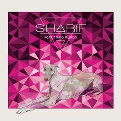 music cover