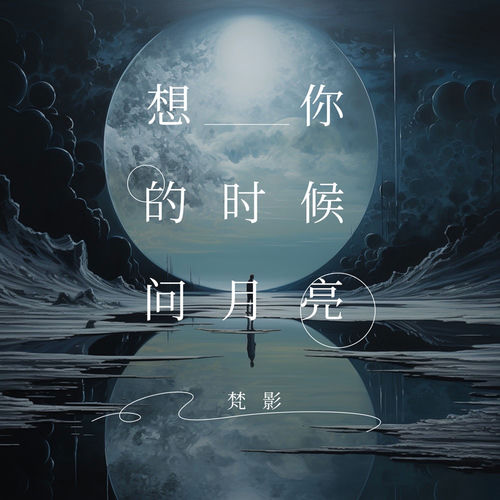 想你的时候问月亮
