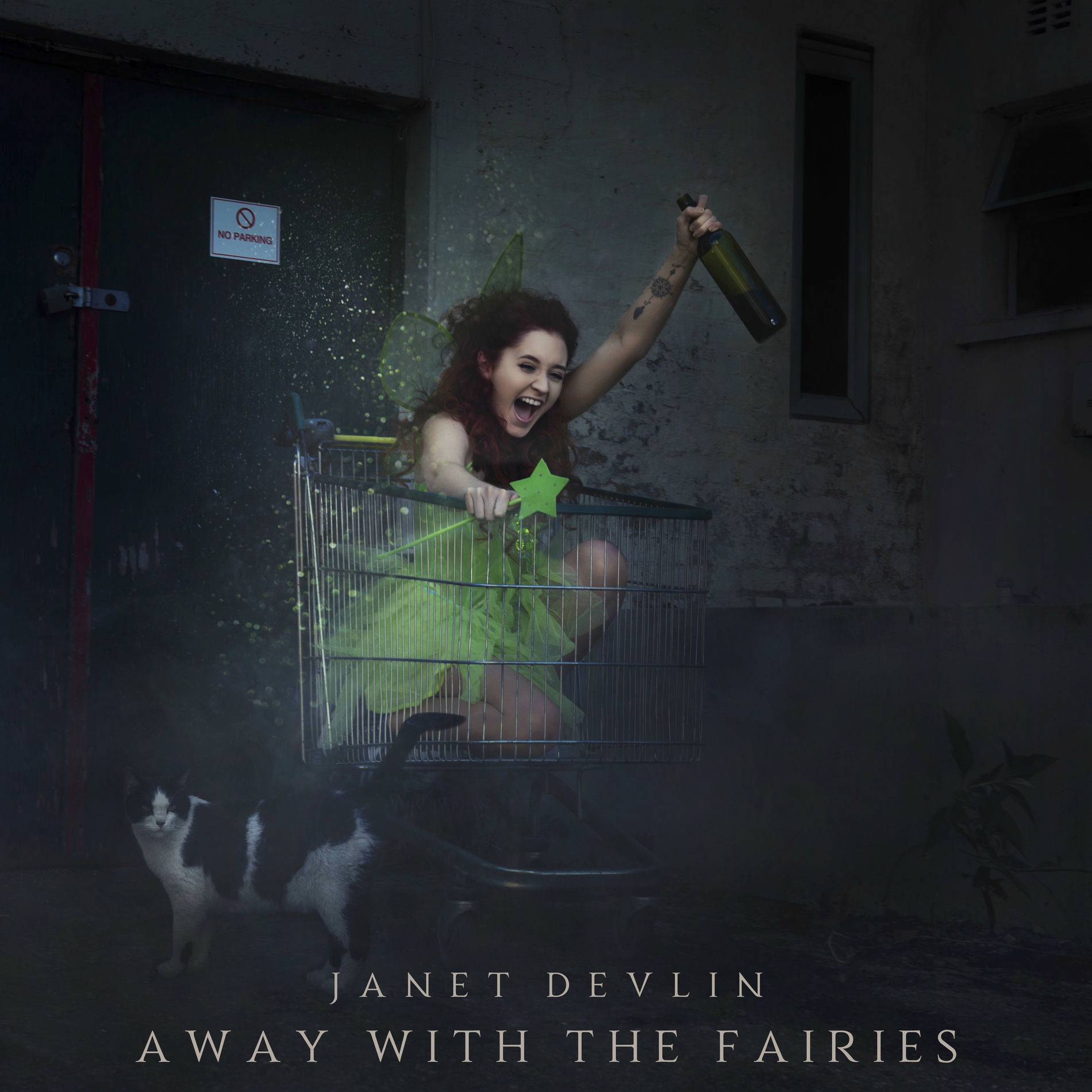 Album cover of Away with the Fairies