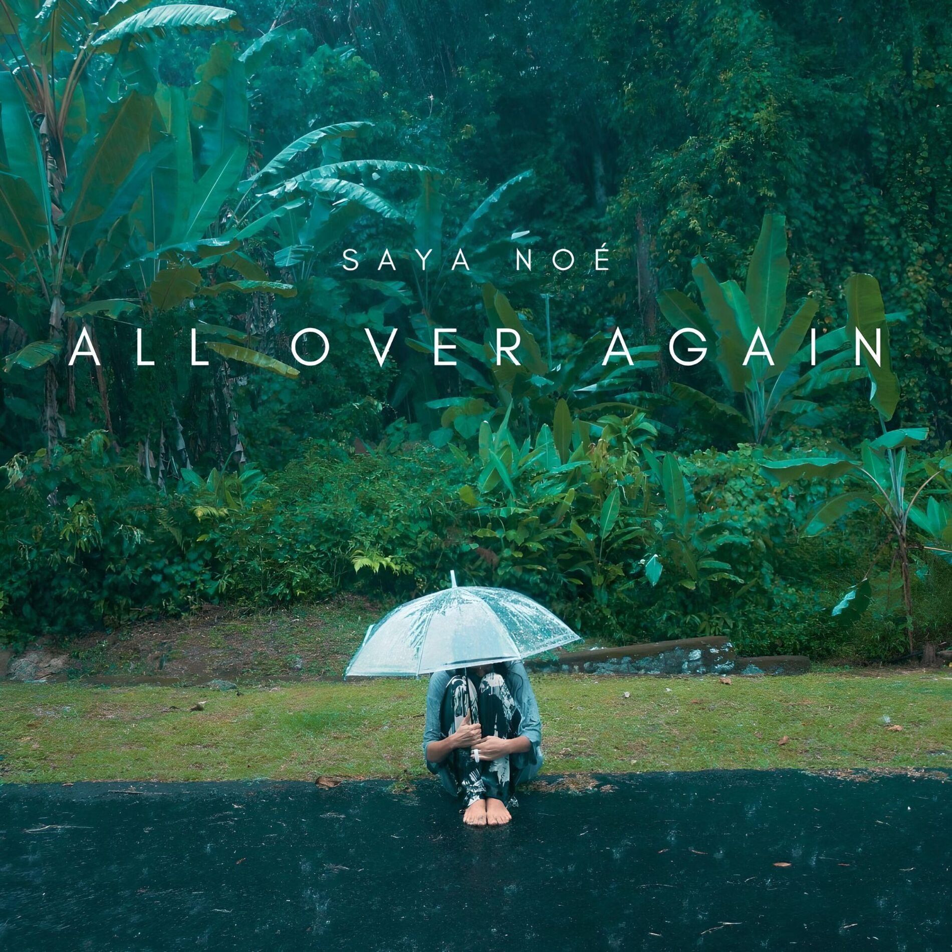 Album cover of All Over Again