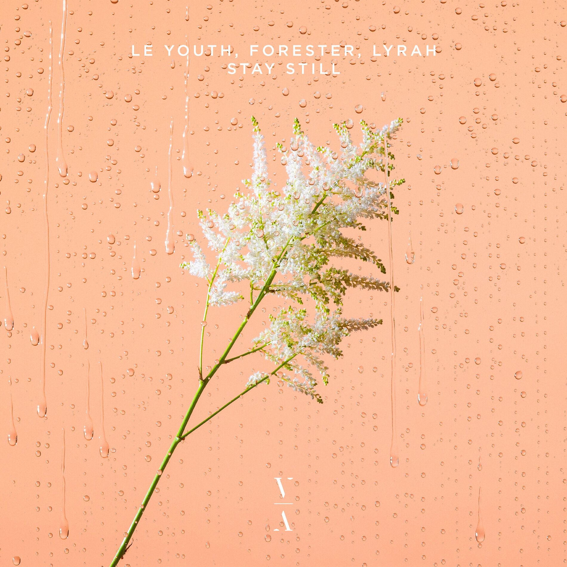 Album cover of Stay Still