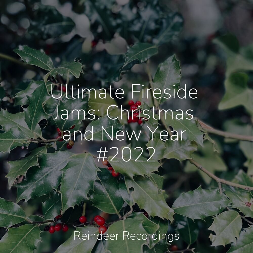 Picture of Ultimate Fireside Jams: Christmas and New Year #2022
