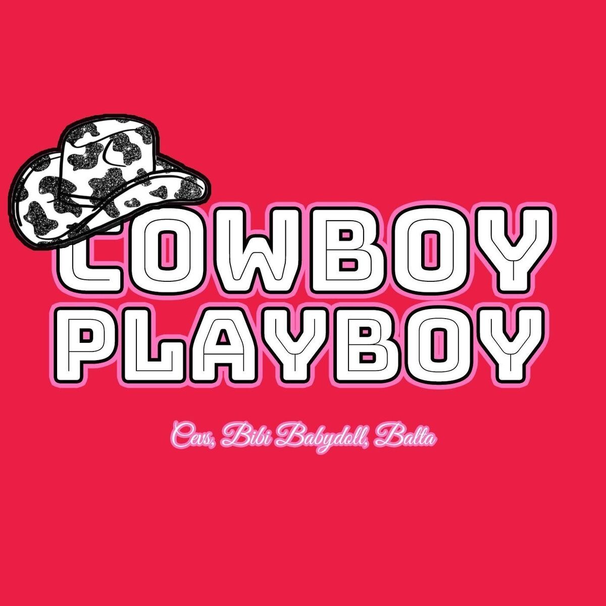 Album cover of Cowboy Playboy