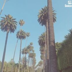 Cover of LA