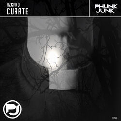 Cover of Curate