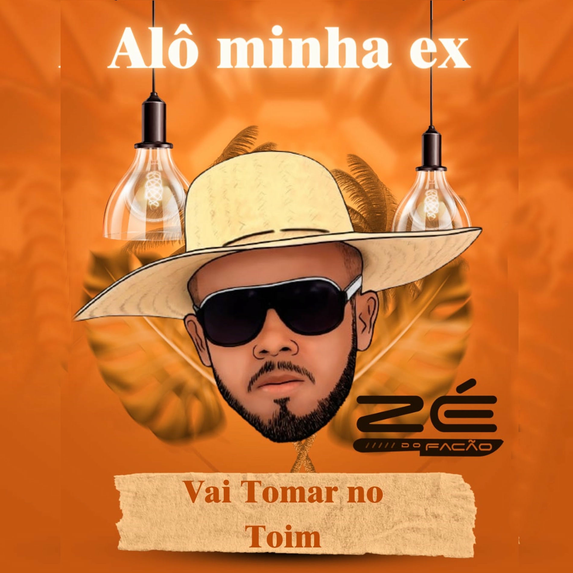 Album cover of Alô Minha Ex Vai Tomar no Toim