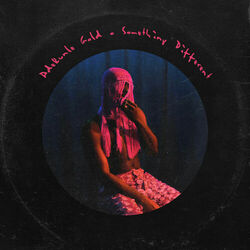 Cover of Something Different