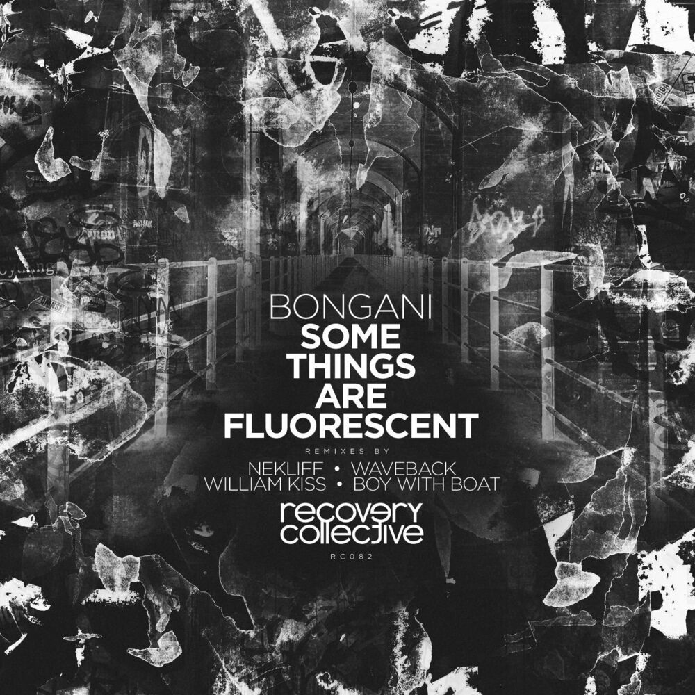Picture of Some Things Are Fluorescent
