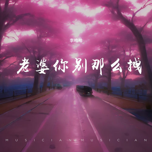 老婆你别那么拽 (Remix版)