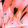 Tror du at han bryr seg by Benjamin Ingrosso album cover