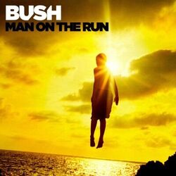 Cover of Man on the Run