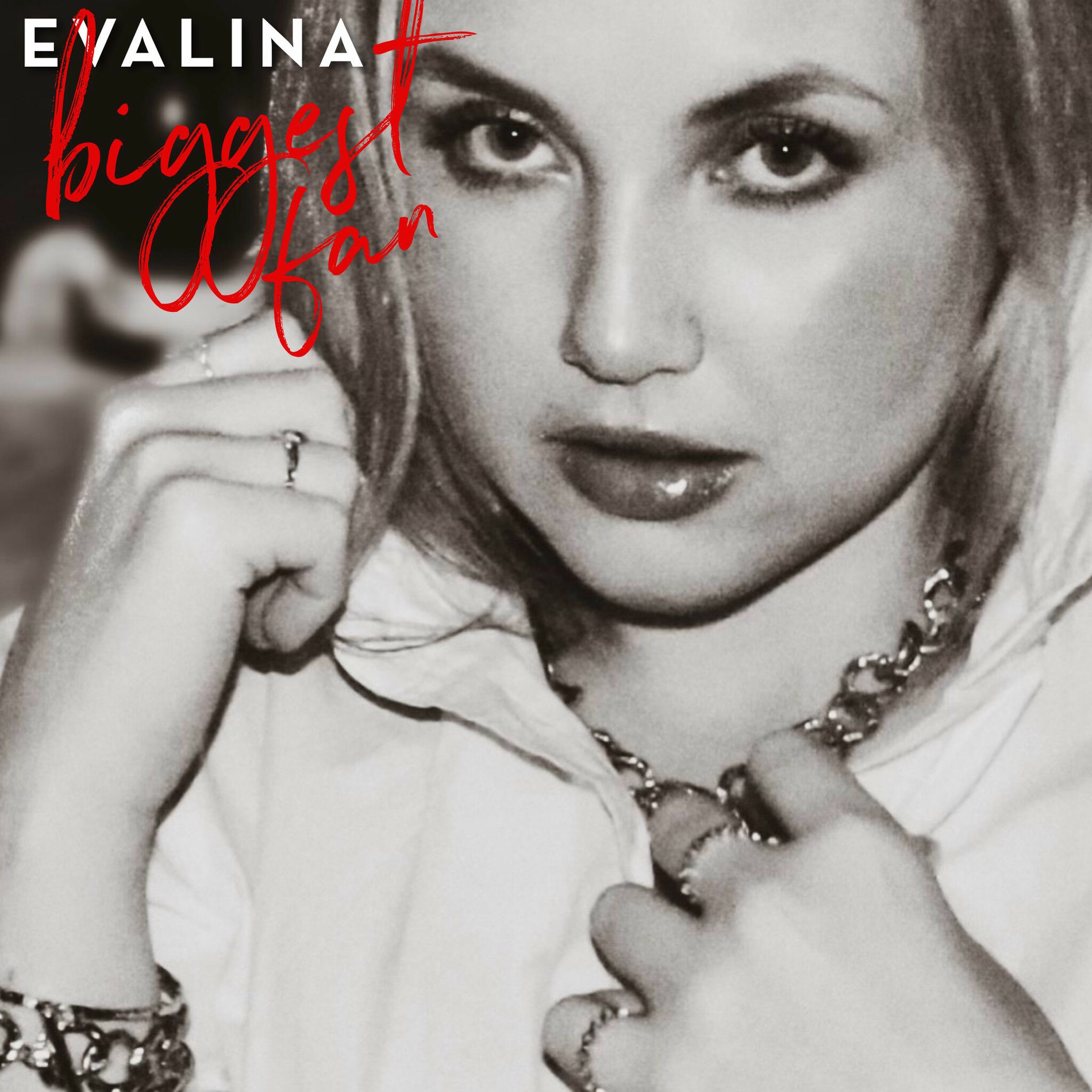 Album cover of Biggest Fan