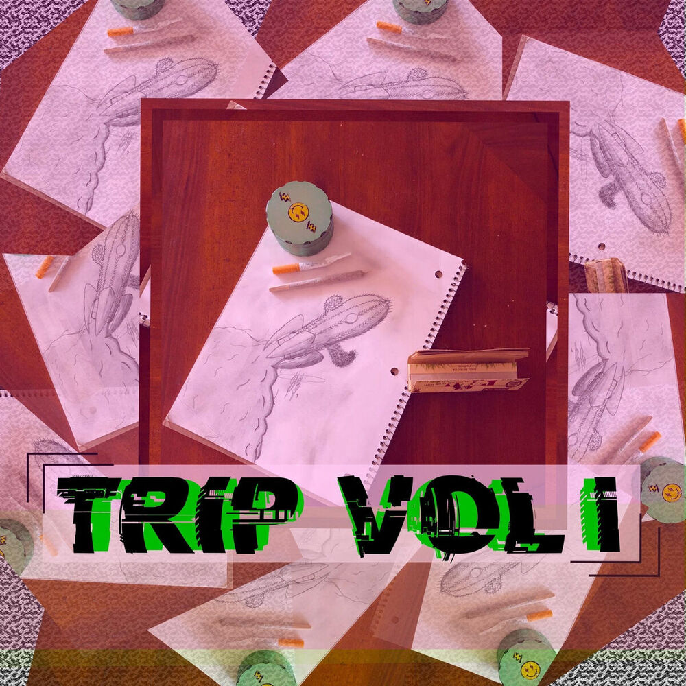 Picture of Trip, Vol. 1